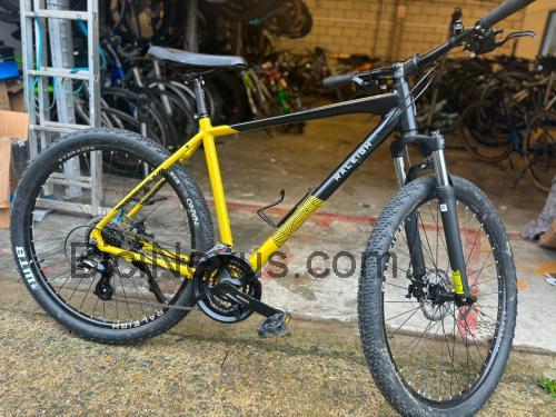Raleigh Strada X ficha técnica y opiniones